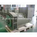 Ce, ISO Genehmigt China Berühmte Fabrik 22 kW Brushless Generator (JDG184F)